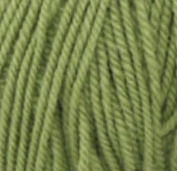Encore Worsted